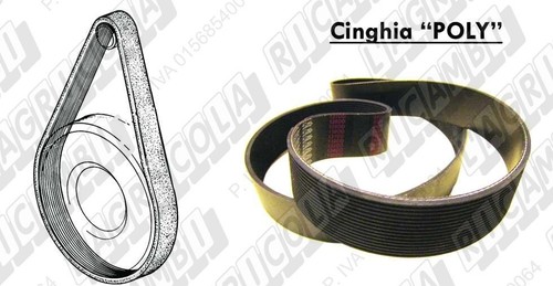 Cinghia poly j1168 gole - j1168, 15
