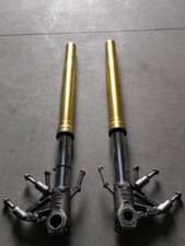 Forcelle Aprilia Dorsoduro 750