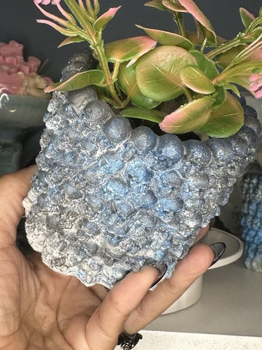 Fioriera succulenta cemento - fioriera, in