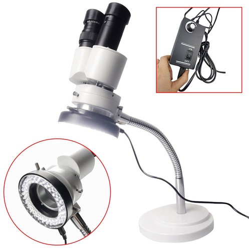 10x microscopio binoculare - microscopio,