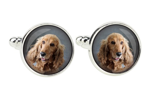 Cocker spaniel inglese spilla - cocker,