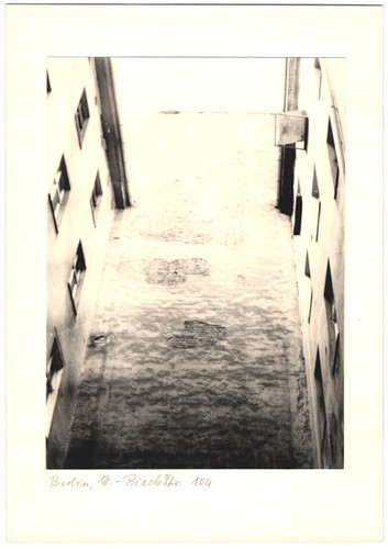 Fotografia schimmel - m.,