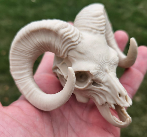 Teschio ram stampato 3d - teschio,