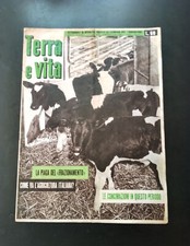 Terra E Vita 10 Gennaio 1963