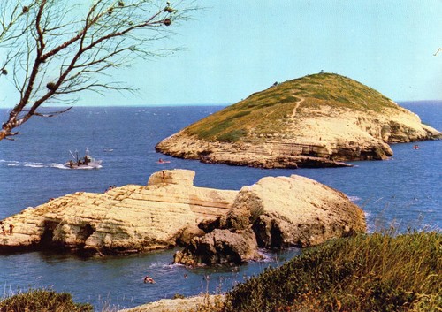 Isola campi foggia - campi,