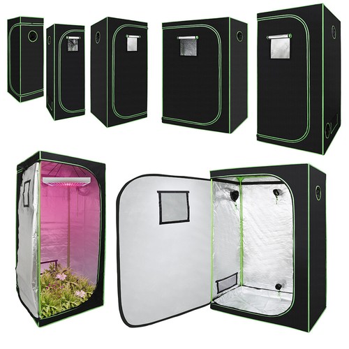 Growbox serra piante growzelt - growbox,
