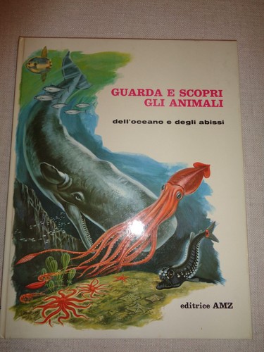 Guarda scopri gli animali n - e,