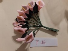 F16 -N.  12 FIORI CALLA IN