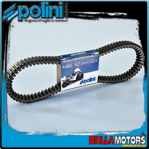 248 069 cinghia variatore - cinghia,