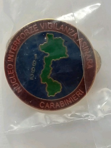 Pins carabinieri vigilanza - pins,