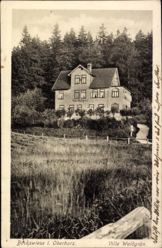 Cartolina bockswiese goslar - cartolina,