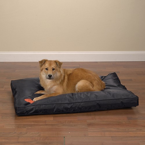Resistente letto per cane - cane, da