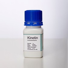 Kinetin |