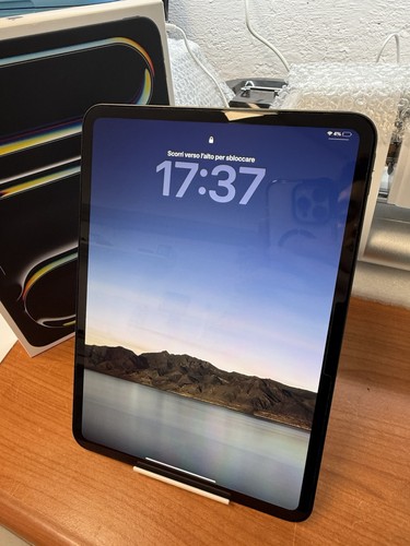 Ipad pro 256gb space - m5,