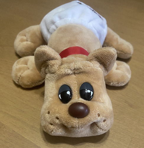 Hasbro pound puppies - pound,