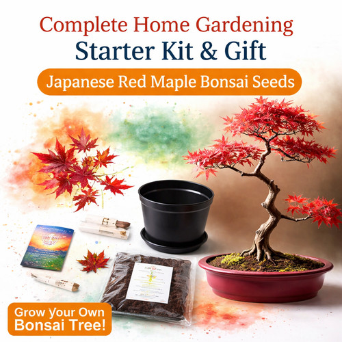 Starter kit completo - , per