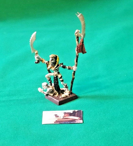 Warhammer fantasy sacerdote - warhammer,