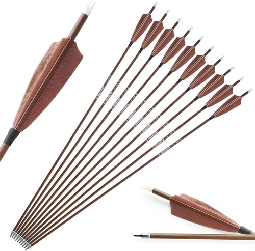 Frecce puro carbonio - 31",