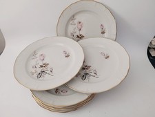 Raro Servizio 12 Piatti