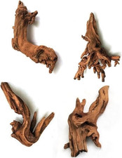 4 Pezzi Piccoli Legni Naturali