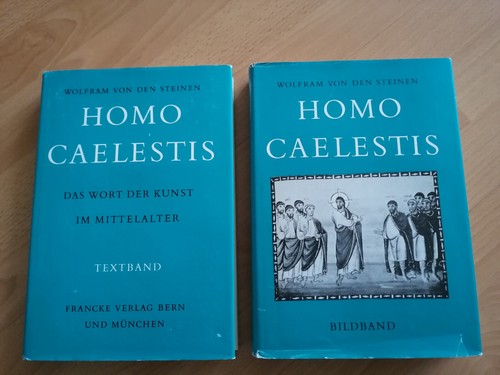 Dalle pietre homo caelestis - dalle,