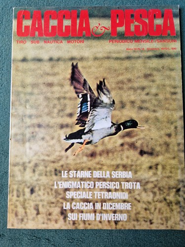 Collezione riviste - n.25,