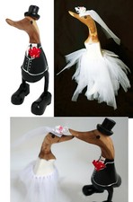 Sposa Matrimonio Autonomo