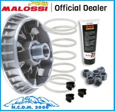 MALOSSI 5114260 VARIATORE