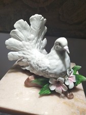 Colomba Bianca Porcellana