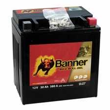 Banner Bici Bull 53001 GT30-3