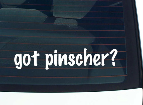 Got pinscher decalcomania - got,