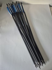 12 Flèches en