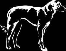 Adesivo CANGAL - Adesivo Auto