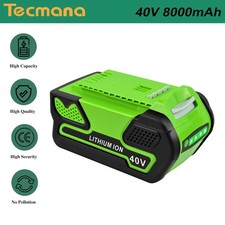 8000mAh 40V Al litio Batteria