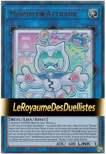 Deck miammy fr - yu-gi-oh!, •