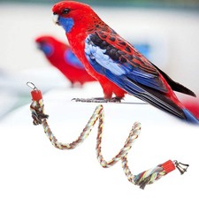  Trespolo Per Pappagalli