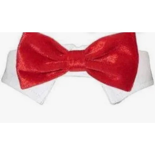 Pooch outfitters papillon