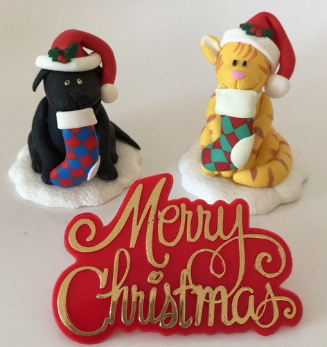 Natale cane gatto festivo - natale,