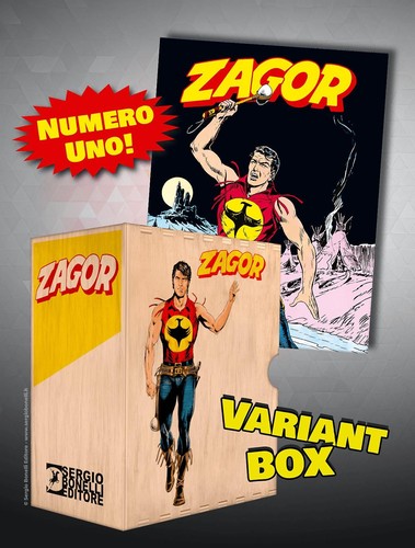 Libri raccoglitore fumetti - libri,