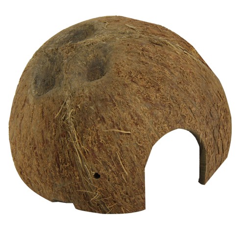 Jbl guscio noce cocco - jbl,