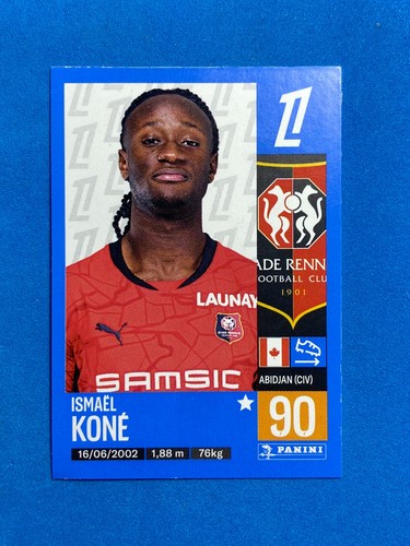 Figurine panini sticker - sticker, foot