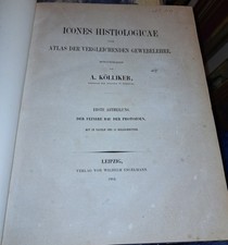 ATLANTE DI ANATOMIA COMPARATA