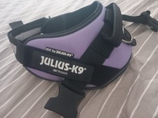 pettorina per cane della