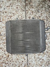 Radiatore Scarabeo 200