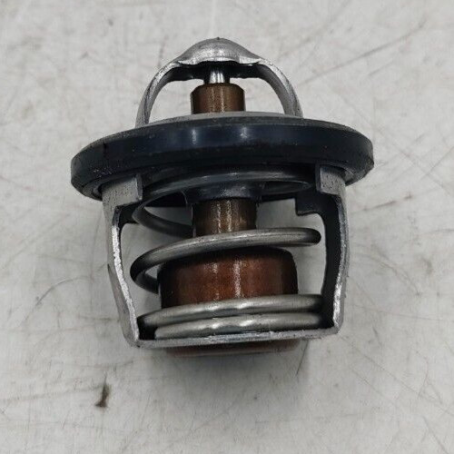 Termostato bmw 310 - termostato,