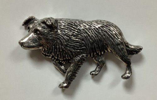 Border collie silver pewter - border,
