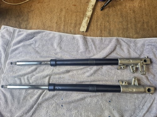 Forcelle anteriori bmw r1150gs - forcelle,