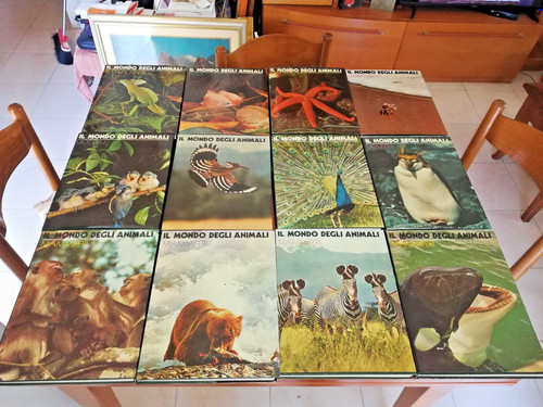 Il mondo degli - aa.vv.,