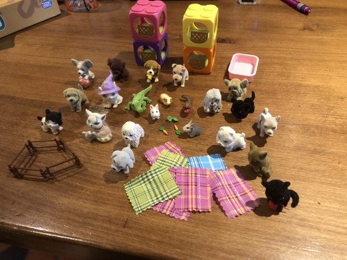 Cuccioli cerca amici lotto - cerca,