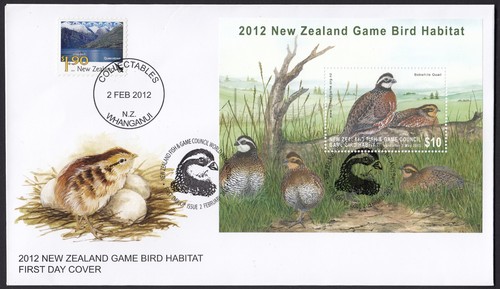 Nuova zelanda 2012 - zelanda, gioco